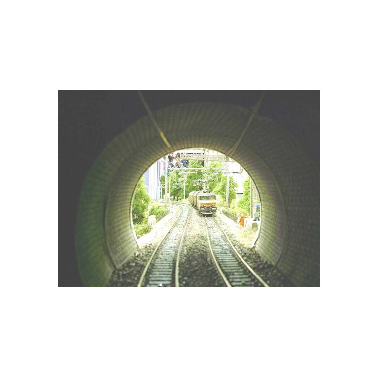 PN SUD MODELISME 8738 Voute en pierre de taille HO