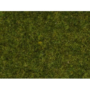 Noch 50220 Gazon dispersé « Prairie printanière »