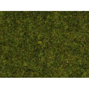 Noch 50220 Gazon dispersé « Prairie printanière »
