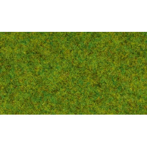 Noch 50210 Gazon dispersé « Prairie printanière »