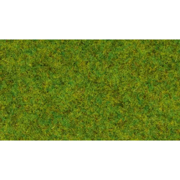 Noch 50210 Gazon dispersé « Prairie printanière »