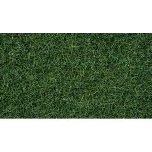 Noch 08320 Herbe " Terre de marais "