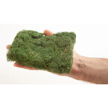 Noch 07311 buisson vert foncé 40g