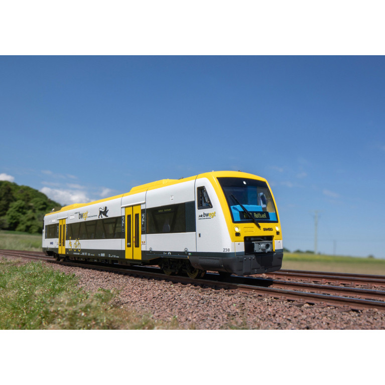 Automotrice diesel Regio Shuttle RS1, série 650