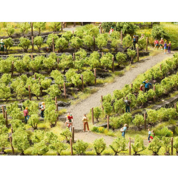 NOCH 21545 - Vignes 1,6 cm 1:160 - 1:220